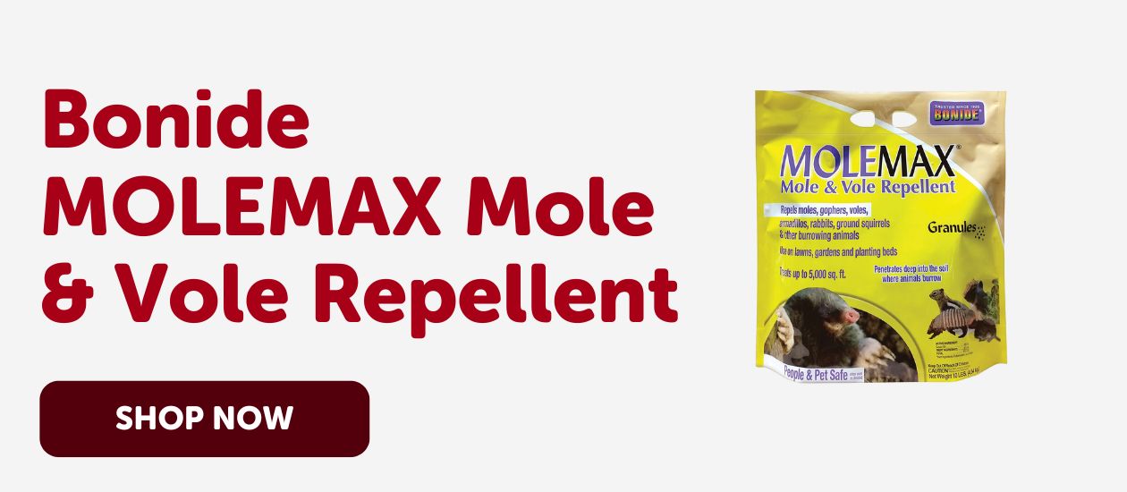 Bonide MoleMax