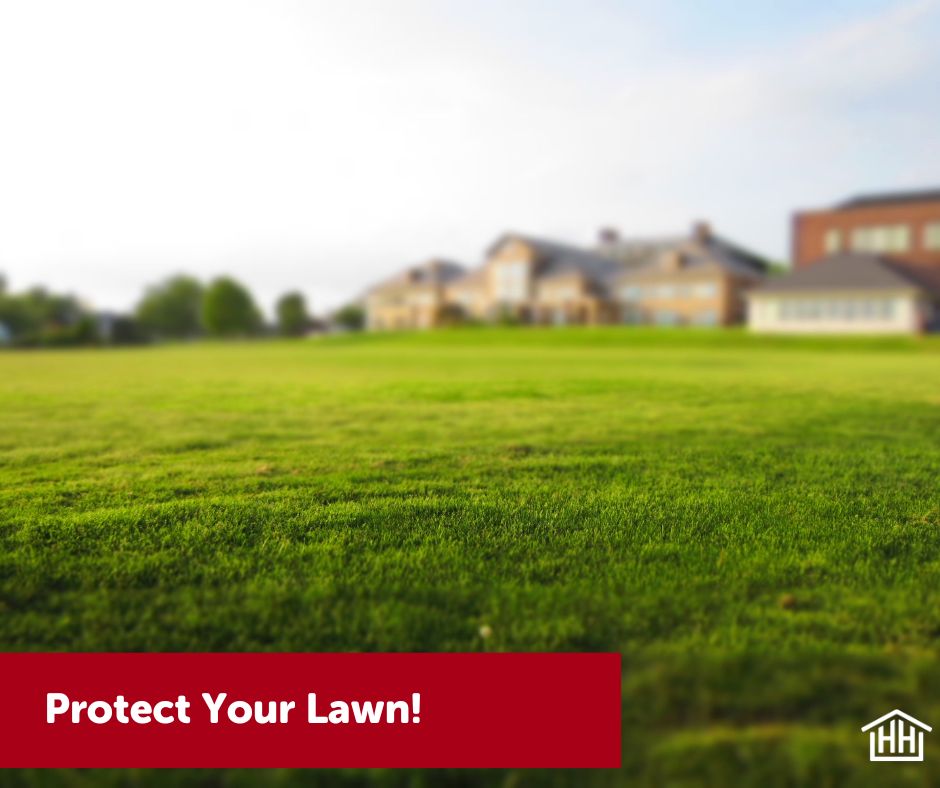 Protect Your Lawn!