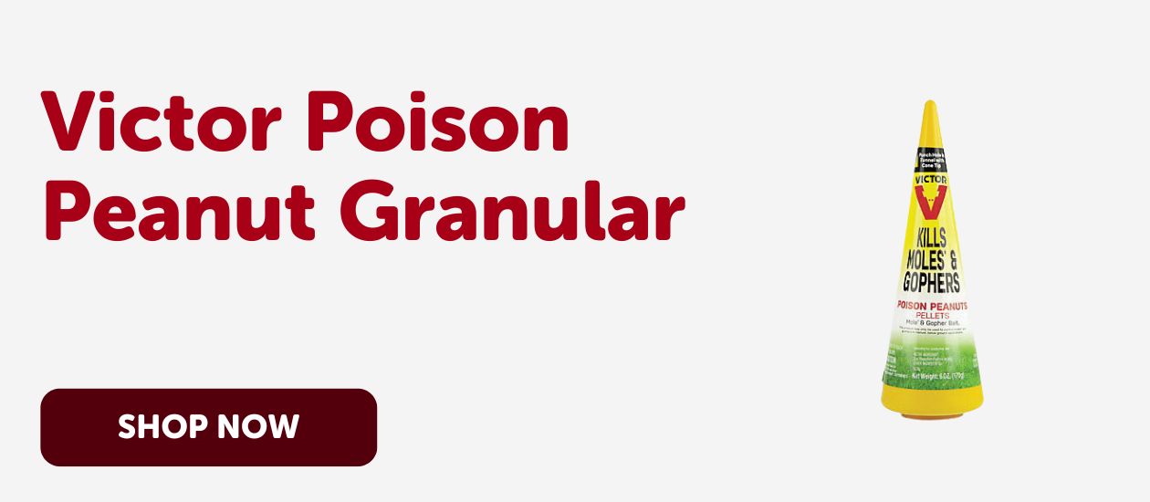 Victor Poison Peanut Granular