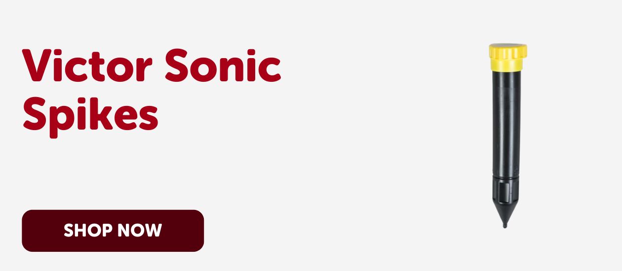 Victor Sonic Spikes