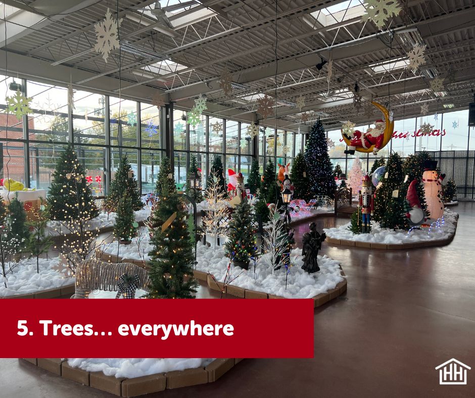 Multiple decorated Christmas trees on display
