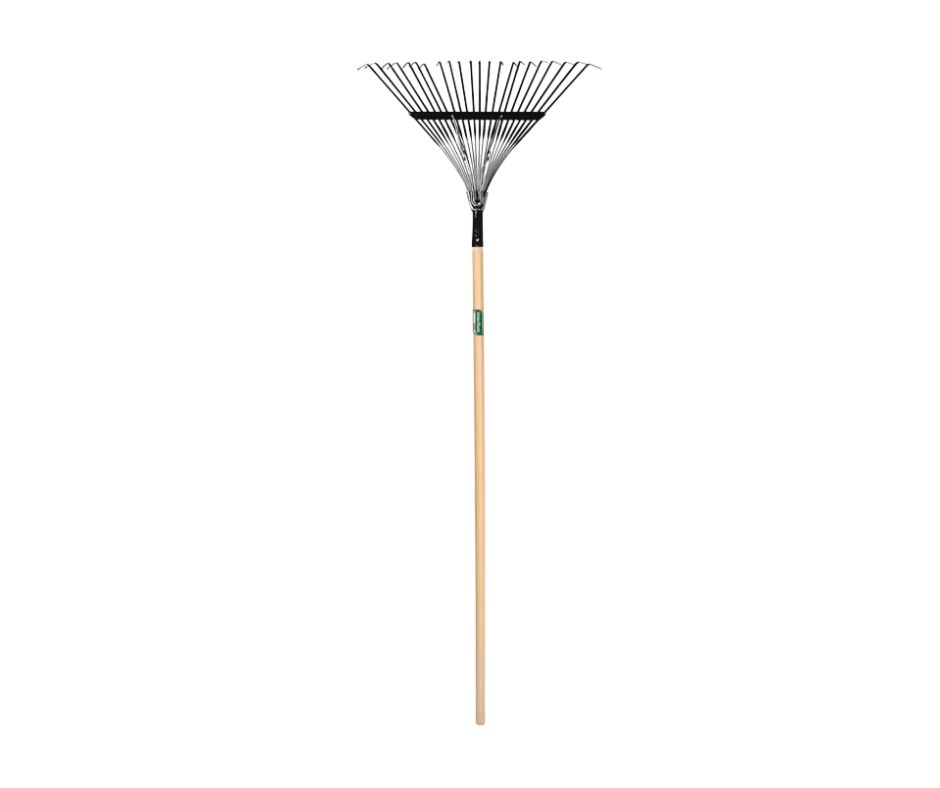 rake